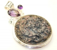 Crinoid Fossil Women Silver Tone Pendant 34.60g (color: brown, dim.: 2 7/8, 1 7/8, 1/4 inch). Crinoid Fossil, Amethyst Crafted in Silver Tone Metal only ONE pendant available - pendant entirely handmade by the most gifted artisans - one of a kind world wi Crinoid Fossil Women Silver Tone Pendant 34.60g (color: brown, dim.: 2 7/8, 1 7/8, 1/4 inch). Crinoid Fossil, Amethyst Crafted in Silver Tone Metal only ONE pendant available - pendant entirely handmade by the most gifted artisans - one of a kind world wi