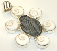 Fossil Women Silver Tone Pendant 33.80g (color: brown, dim.: 3, 2, 1/4 inch). Fossil, Shell Crafted in Silver Tone Metal only ONE pendant available - pendant entirely handmade by the most gifted artisans - one of a kind world wide item - FREE GIFT BOX Fossil Women Silver Tone Pendant 33.80g (color: brown, dim.: 3, 2, 1/4 inch). Fossil, Shell Crafted in Silver Tone Metal only ONE pendant available - pendant entirely handmade by the most gifted artisans - one of a kind world wide item - FREE GIFT BOX
