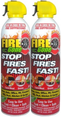 Fire Gone 2NBFG2704 White/Red Fire Extinguisher - 16 oz., (Pack of 2)