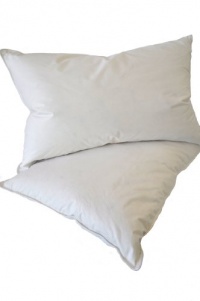 Natural Comfort Standard Classic White Goose Down Feather Pillow, 26-Ounce, Set of 2 Natural Comfort Standard Classic White Goose Down Feather Pillow, 26-Ounce, Set of 2