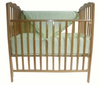 American Baby Company Heavenly Soft Minky Dot 3-Piece Porta-Crib Set, Celery American Baby Company Heavenly Soft Minky Dot 3-Piece Porta-Crib Set, Celery