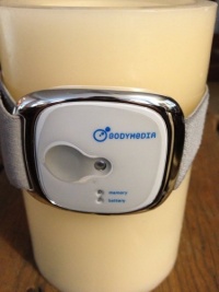 BodyMedia LINK Body Monitoring Armband BodyMedia LINK Body Monitoring Armband