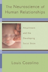The Neuroscience of Human Relationships: Attachment And the Developing Social Brain (Norton Series on Interpersonal Neurobiology) The Neuroscience of Human Relationships: Attachment And the Developing Social Brain (Norton Series on Interpersonal Neurobiology)