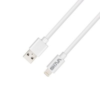 Skiva Apple Certified Lightning to USB cable (10 Feet, Extra Long) for iPhone 5, iPad Mini and other Apple devices Skiva Apple Certified Lightning to USB cable (10 Feet, Extra Long) for iPhone 5, iPad Mini and other Apple devices