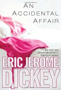 An Accidental Affair An Accidental Affair