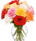 12 Long Stem Assorted Roses - With Vase